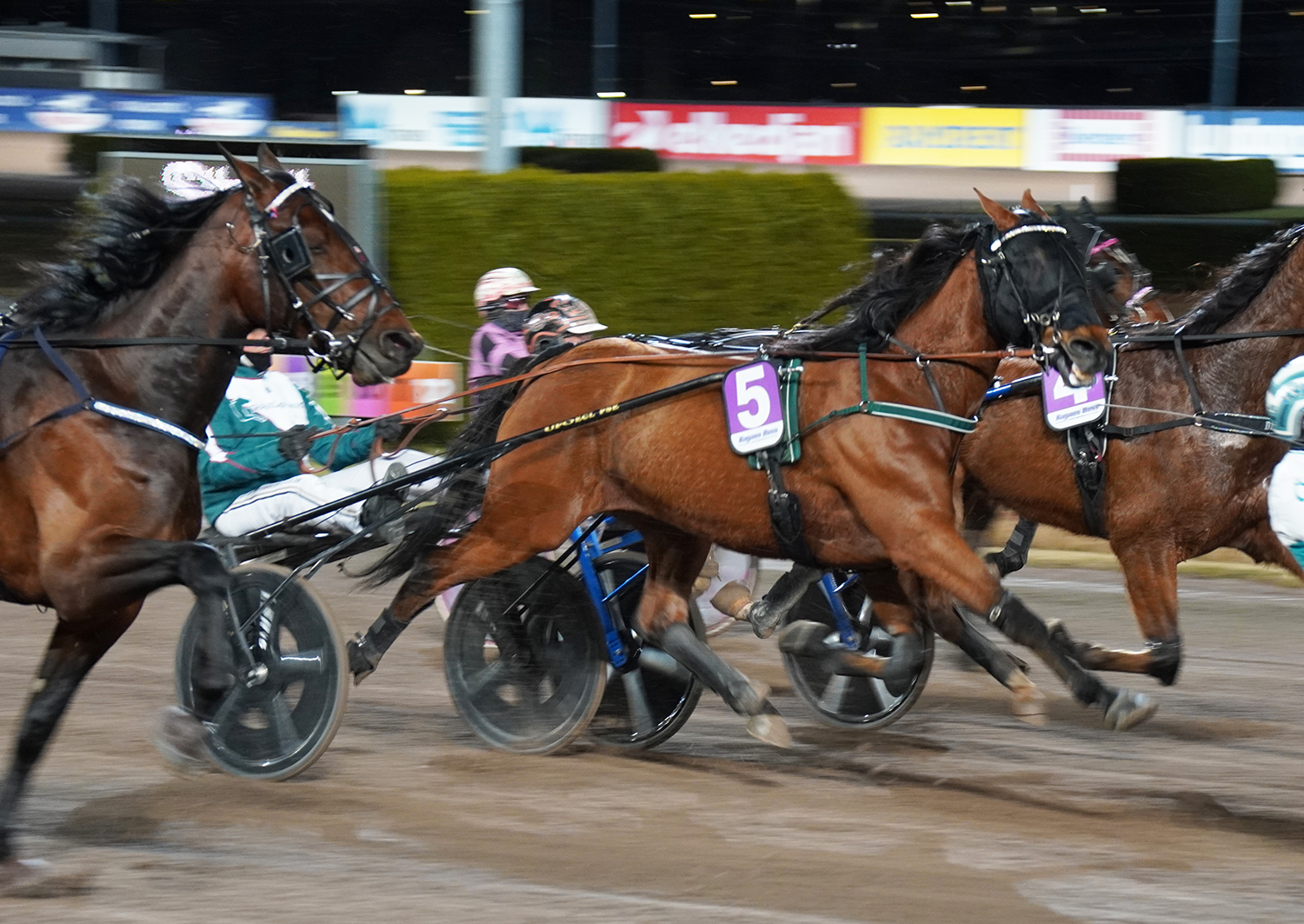 Great Old Dance 260318-1